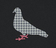 Pigeon Pied-de-Poule