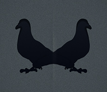 Pigeon Rorschach