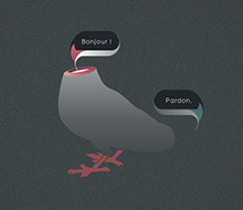 Pigeon sans queue ni tête